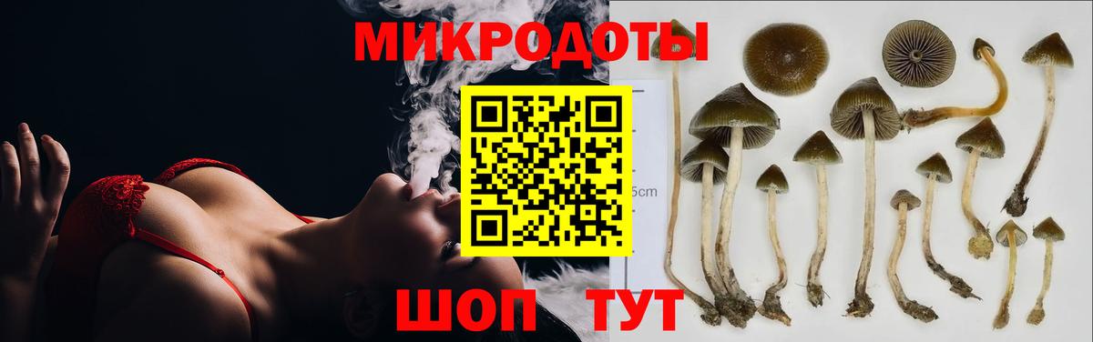Дербент  Галлюциногенные грибы ЛСД  Вход с VPN 